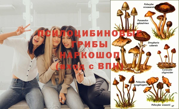 соль курить ск Абаза