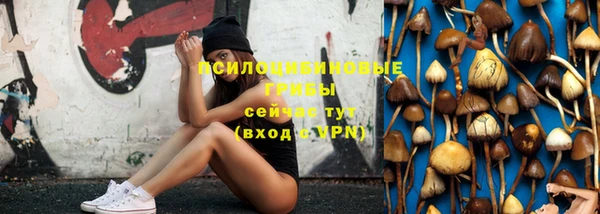 apvp Абинск