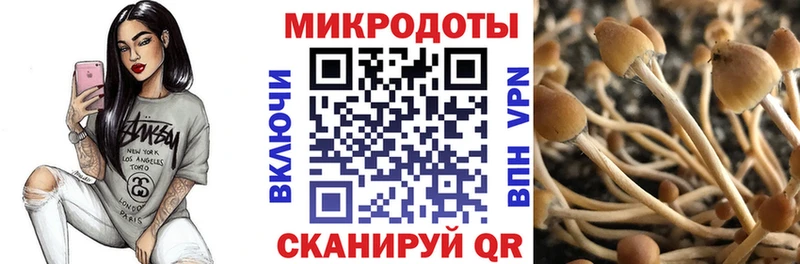 Галлюциногенные грибы прущие грибы  Суоярви 